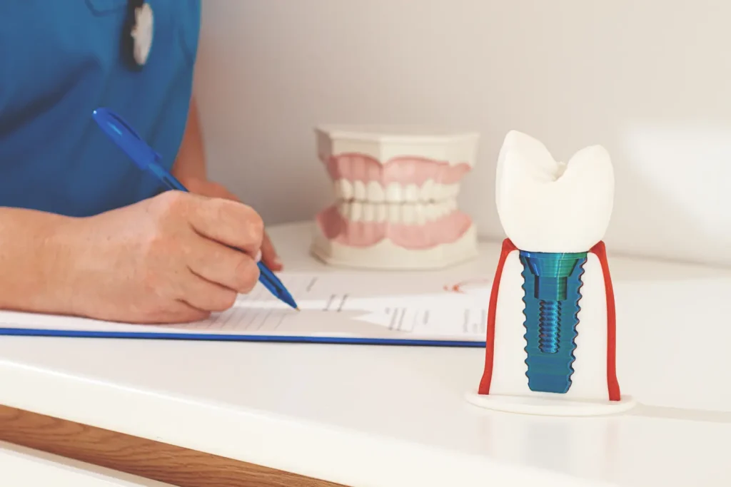 tooth model